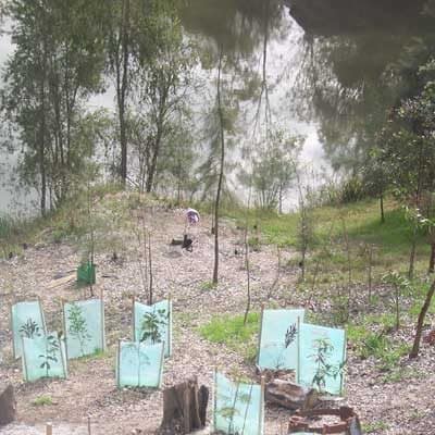 Bremer Catchment Association - Tiger Street RAG - Replanting