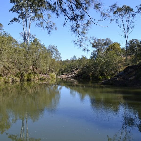 Tiger Street Billabong